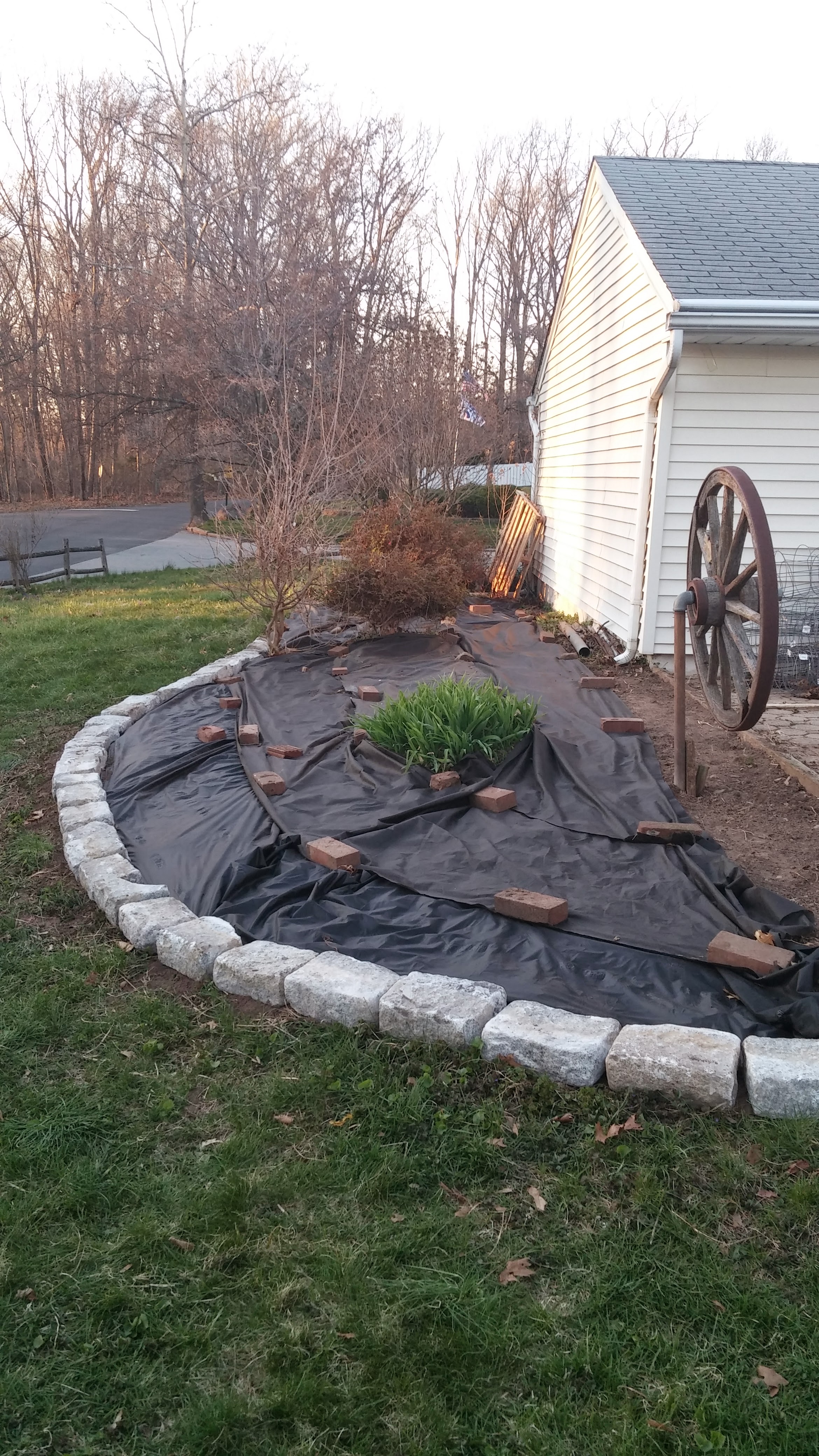 Landscaping & Backyard project 1
