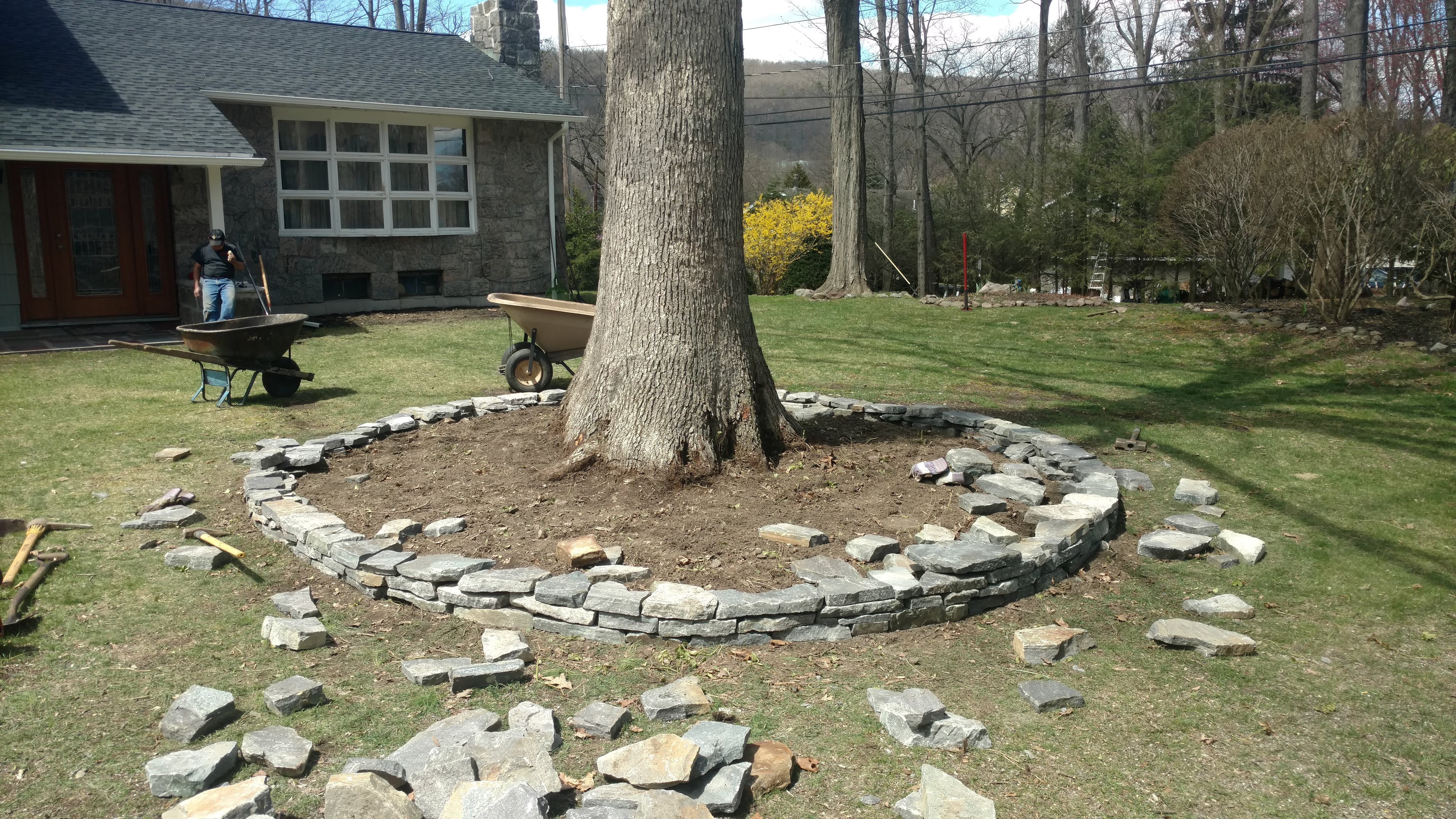 Landscaping & Backyard project 6