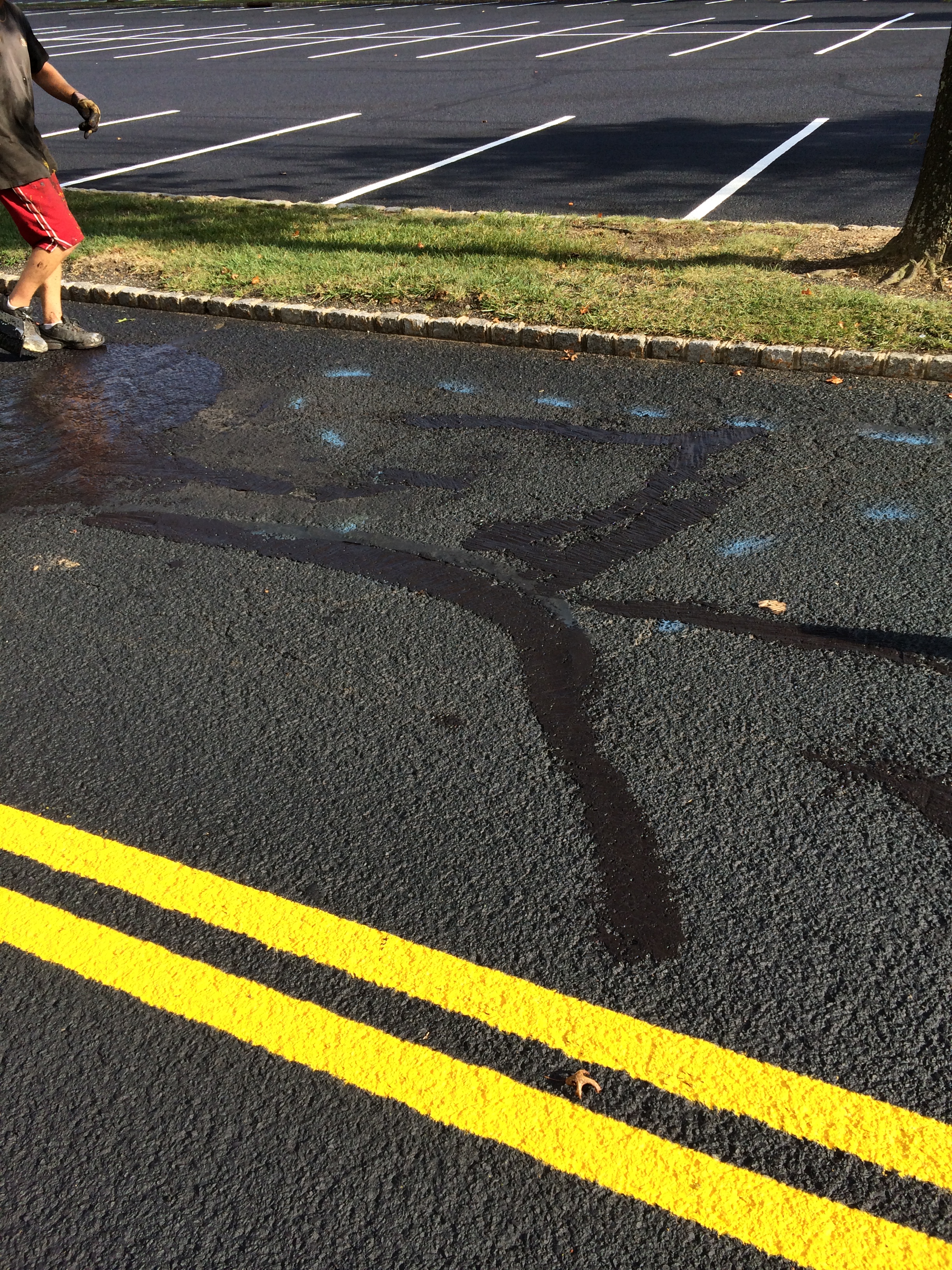 ADA Compliance line striping